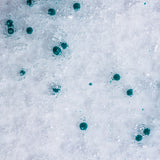 ZO Skin Health Exfoliating Cleanser photo credit ZO Skin Health